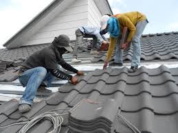 Best Roof Moss and Algae Removal  in Fargo, ND